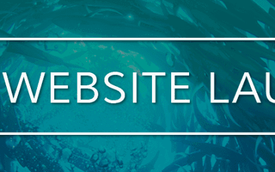 New website launched!